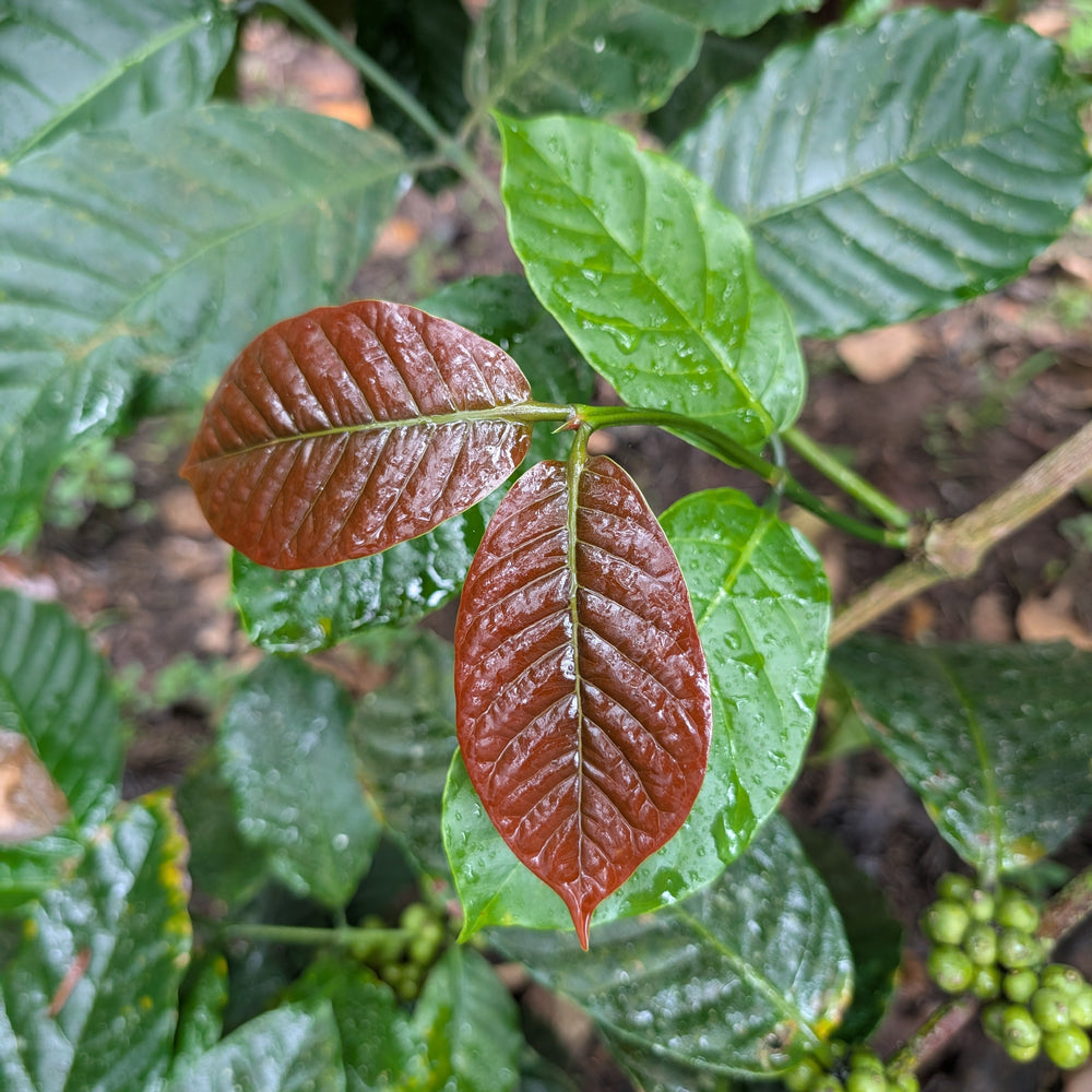 Farm Visits 2025: When the Skies Forgot the Script